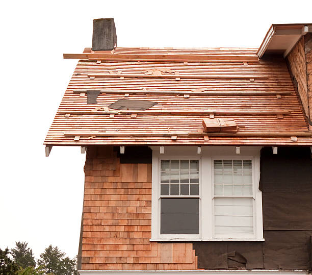 Best Custom Trim and Detailing for Siding  in Brownsville, PA